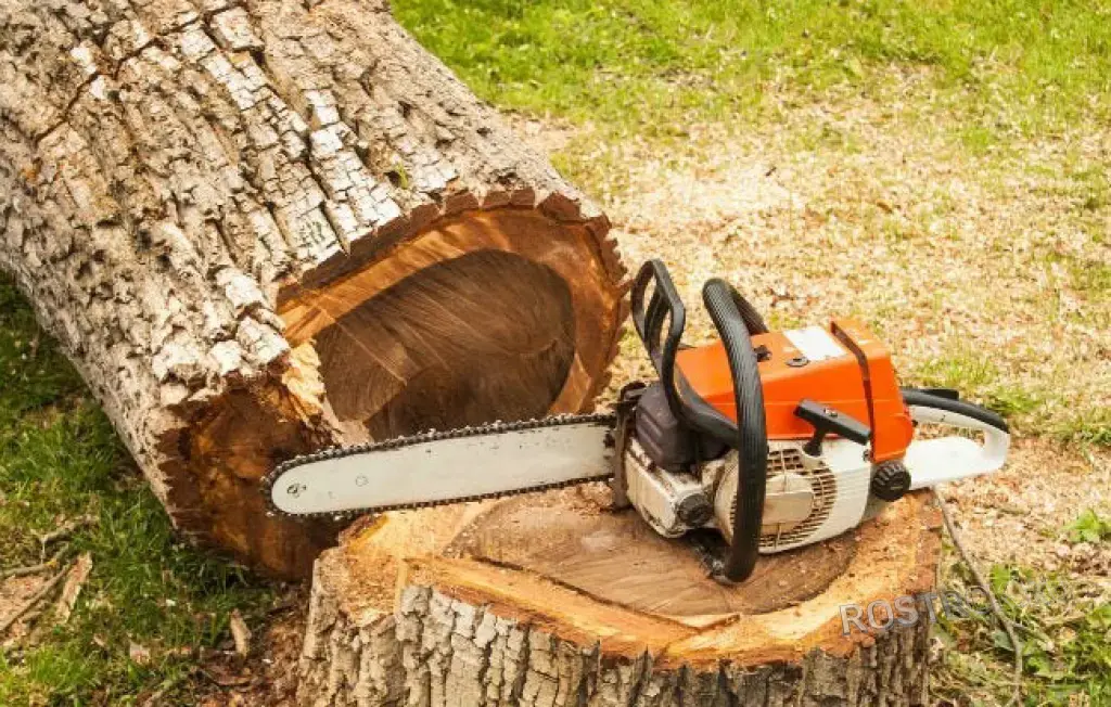 Валка деревьев с корнем. Полная расчистка участка