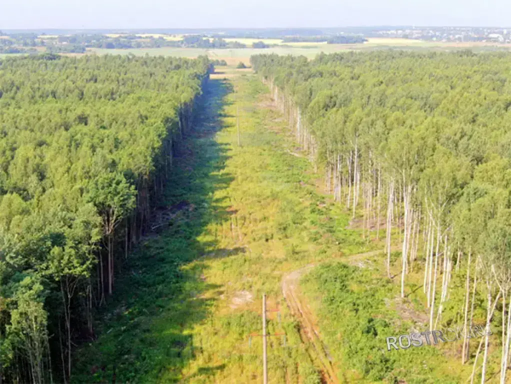 Расчистка просек ЛЭП и нефтепроводов | Демонтаж зданий