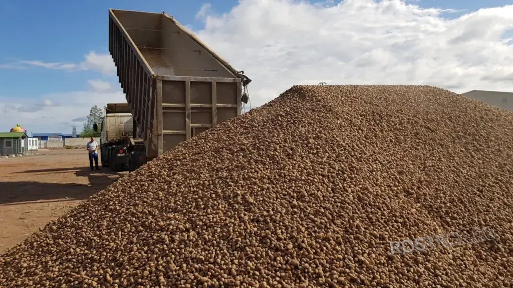Керамзит во Внуково с доставкой. Все фракции