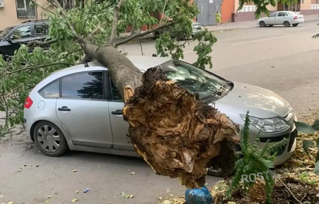 Автоэкспертиза